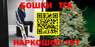 МДПВ Обнинск