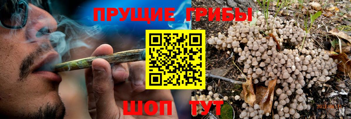 Псилоцибиновые грибы мухоморы Сокол