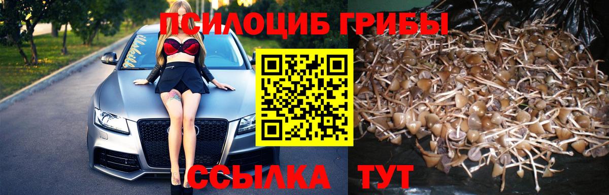 Галлюциногенные грибы MAGIC MUSHROOMS  Вход с VPN  Сокол  Галлюциногенные грибы Psilocybe 